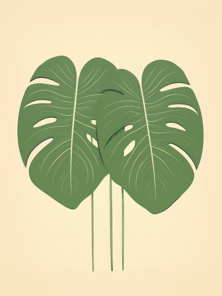 Monstera Leaves 1