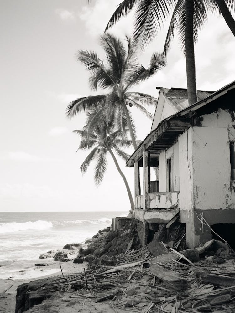 Barbados Black And White Analogue Photograph 4