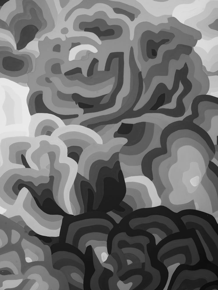 Black And White Roses 9