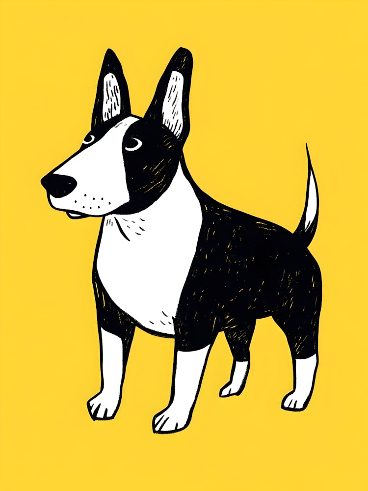 Bull Terrier 1