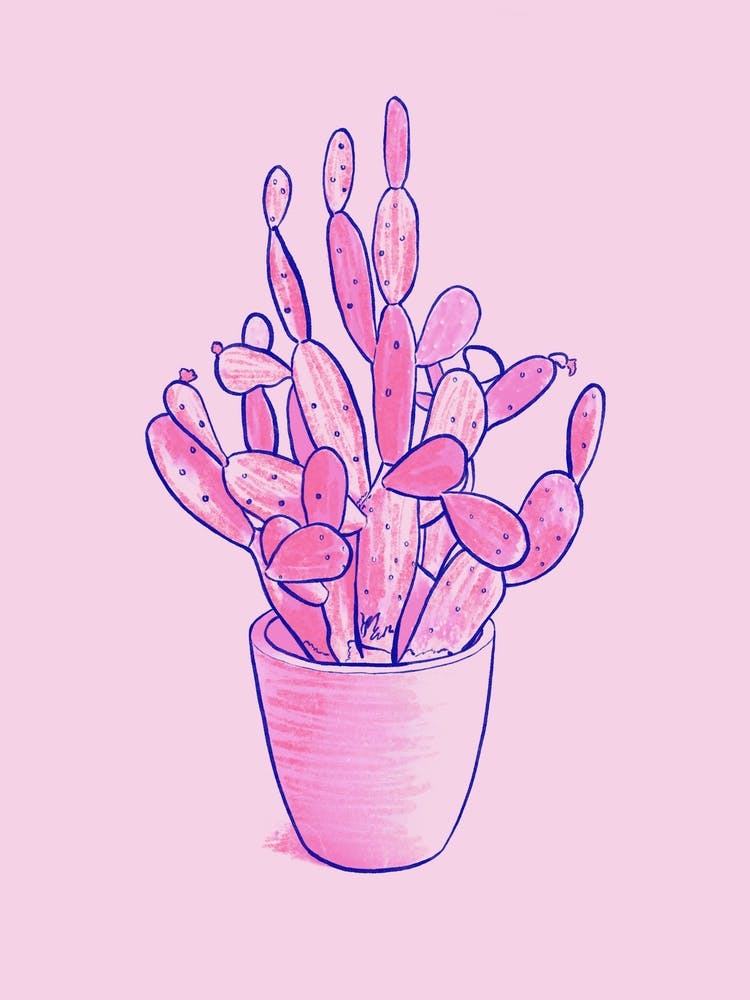 Pink Cactus