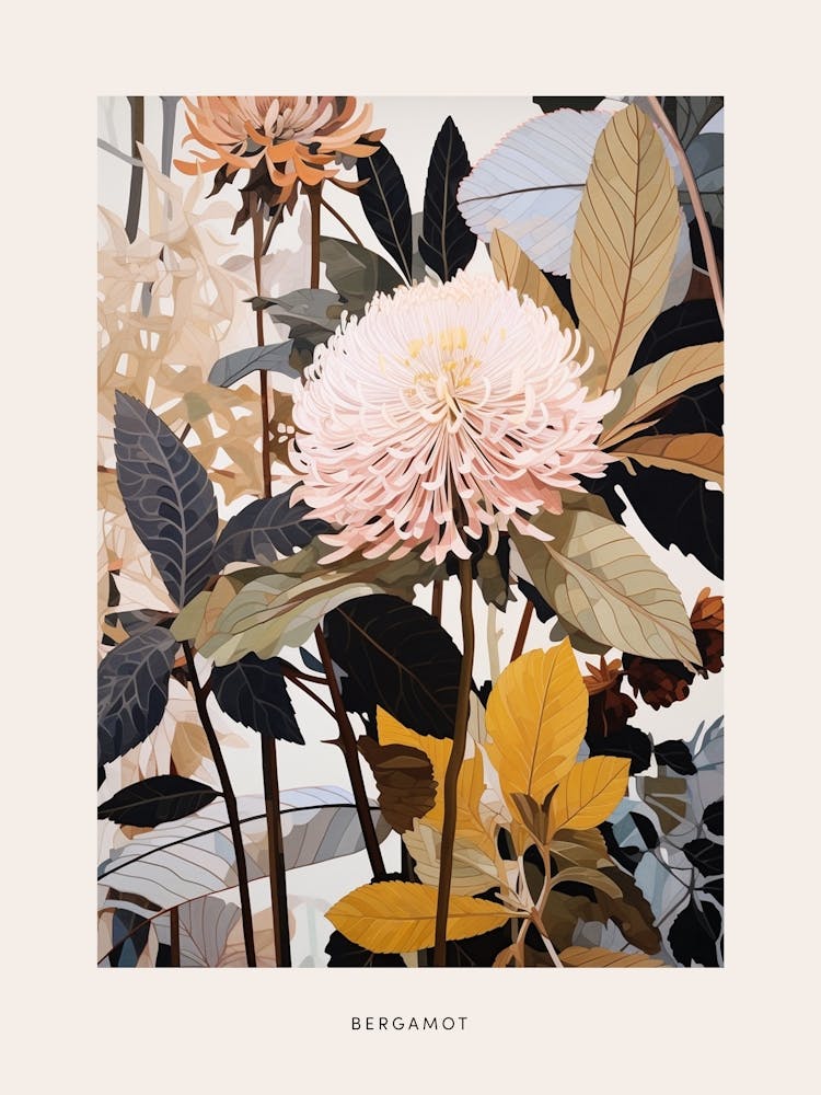 Blumenillustration Bergamotte 1 Poster