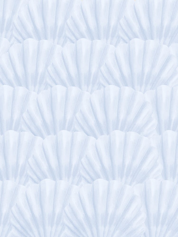 Seashells