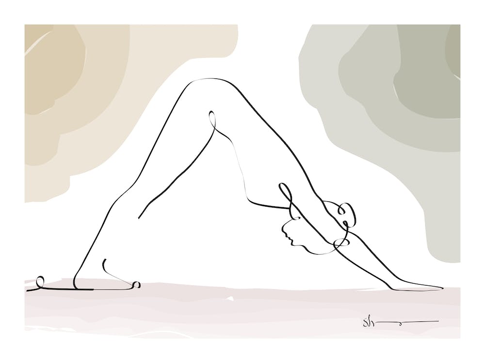 Downward Facing Dog Adho Mukha Svanasana