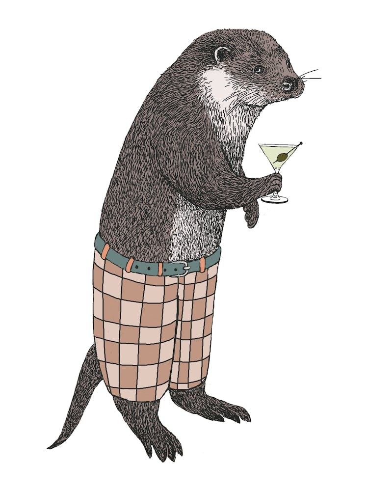 Dapper Otter