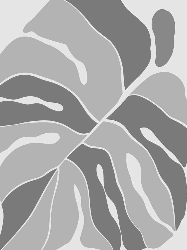 Monstera Leaf 1