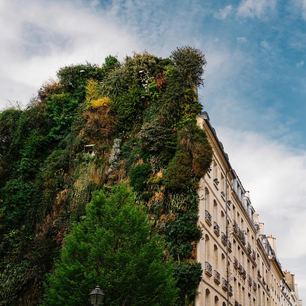 Parisian Vertical Garden II Square