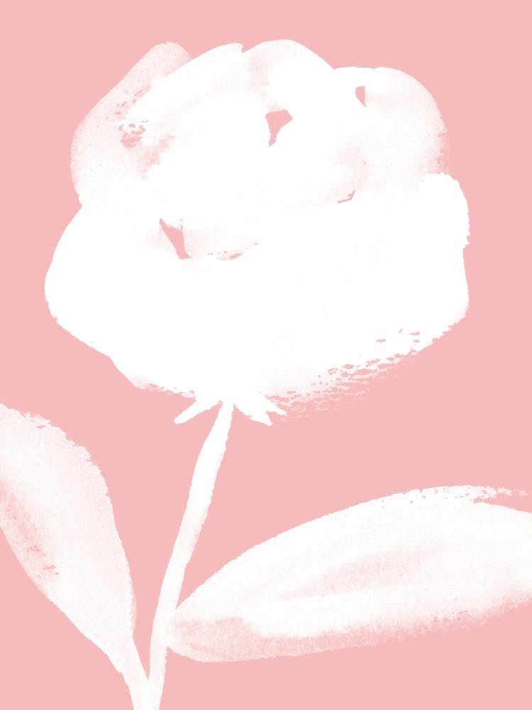 Rose White Pink Pastel - Watercolor Minimalist Painting