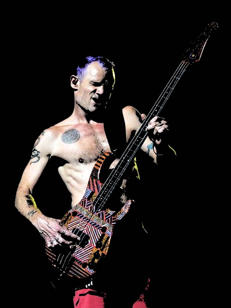 flea Red Hot Chilli Peppers musique de groupe 2