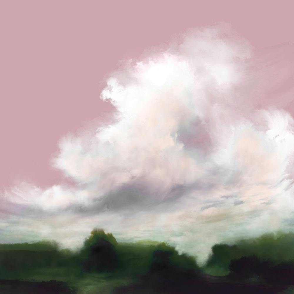 Orchid View