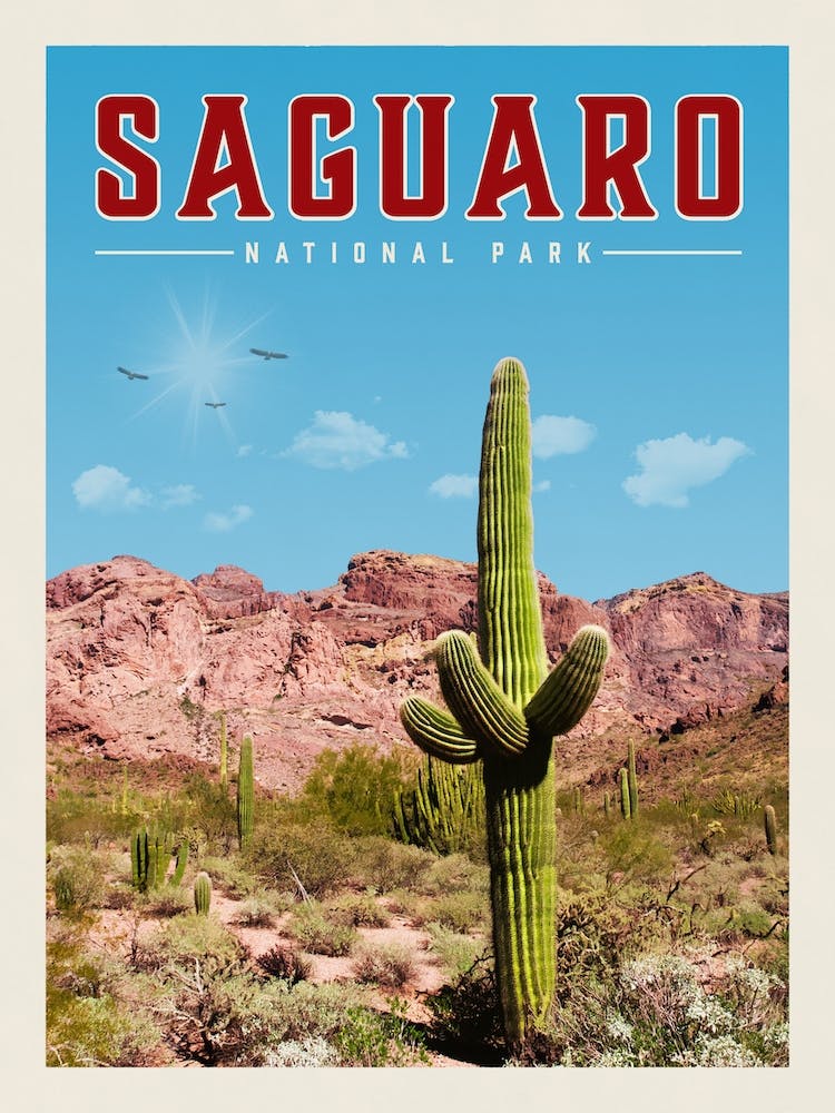 Saguaro Travel Poster