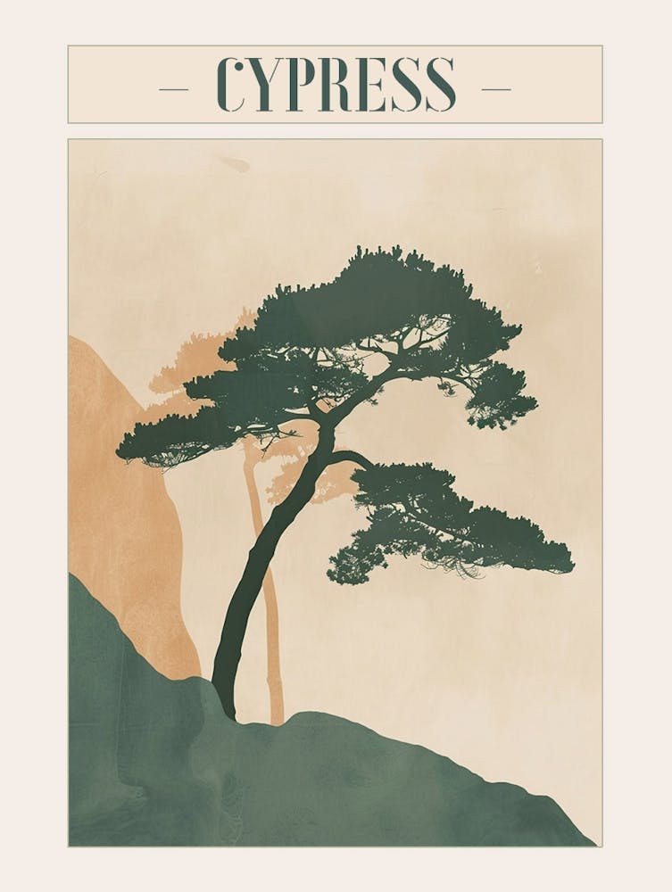 Cypress Tree Minimal Japandi Illustration 1 Poster