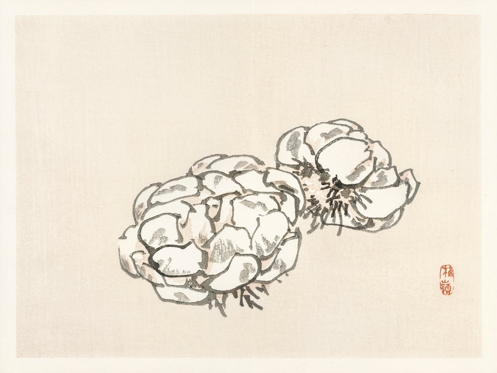 Blossoms, Kōno Bairei