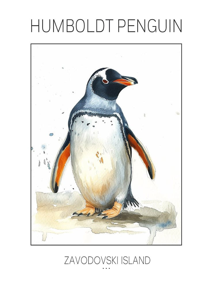 Humboldt Penguin Zavodovski Island Watercolour Painting 1 Poster