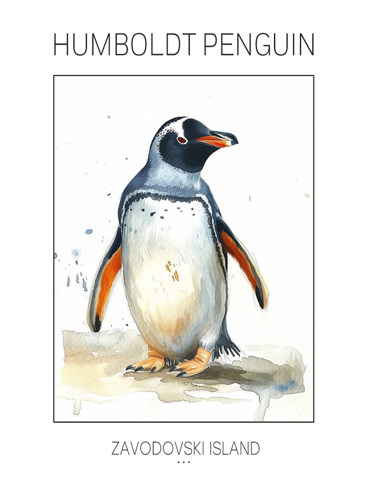 Humboldt Penguin Zavodovski Island Watercolour Painting 1 Poster