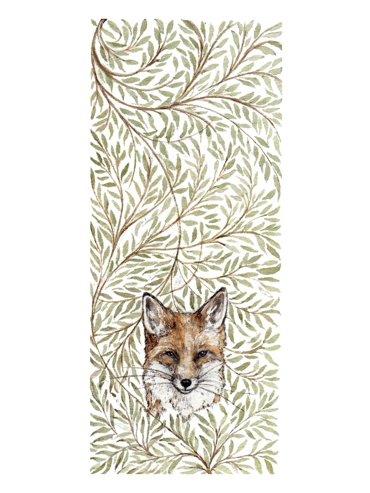 Hedgerowfox 