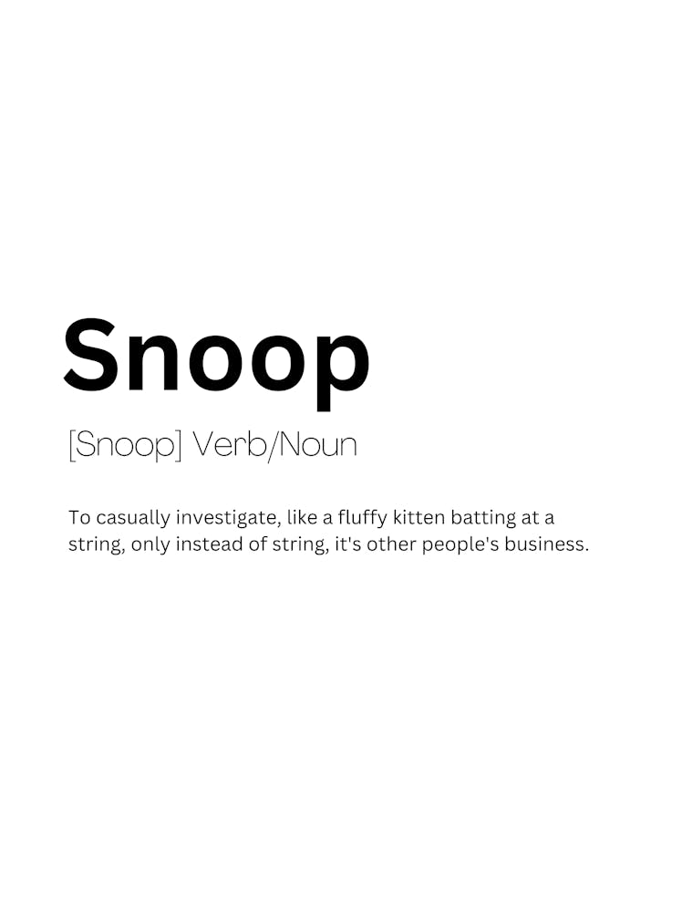 Snoop Definition Meaning