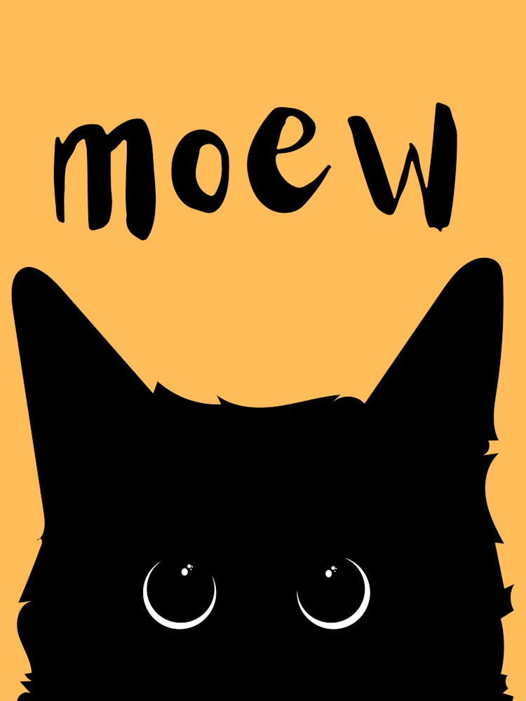 Moew black cat