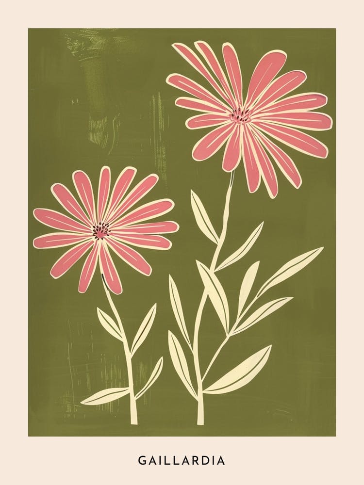 Pink & Green Gaillardia 1 Flower Poster