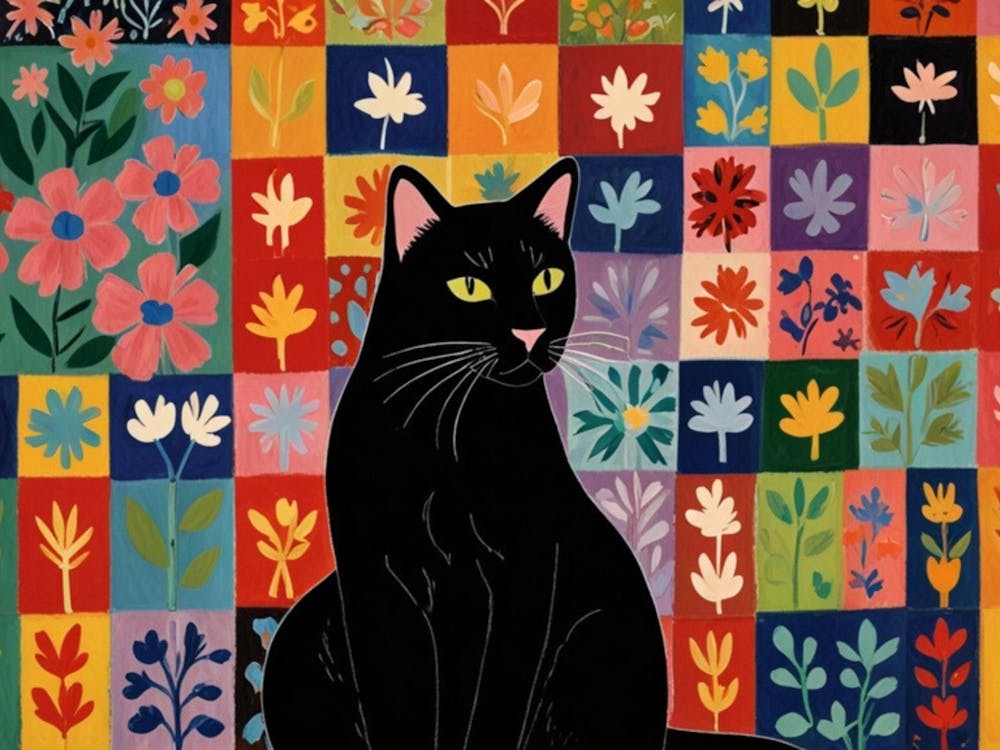 Black Cat On A Colorful Background