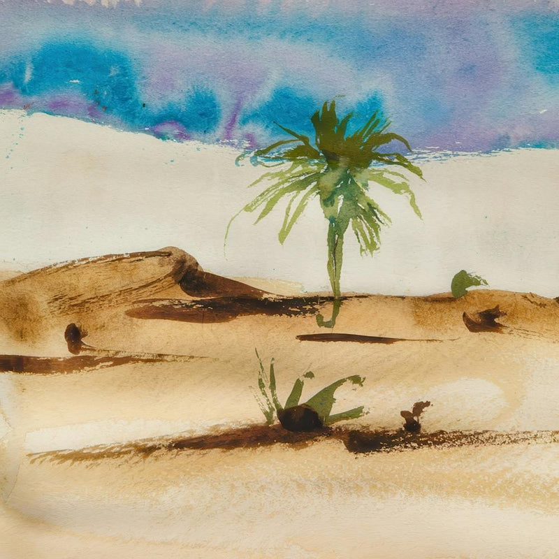 Sand Dunes 8