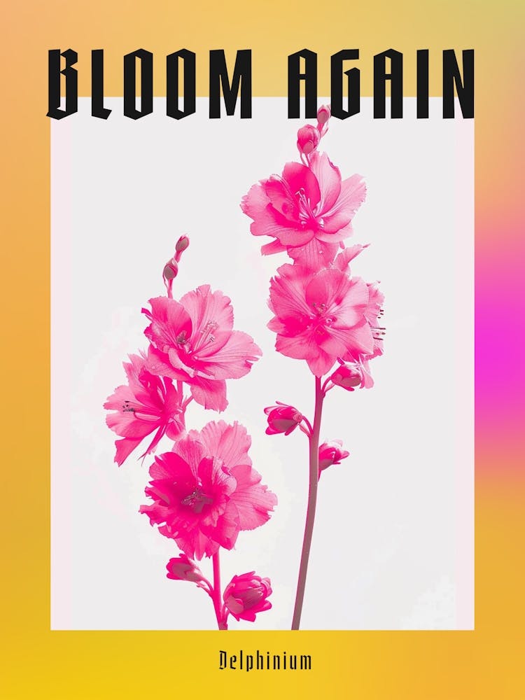 Hot Pink Delphinium 2 Poster