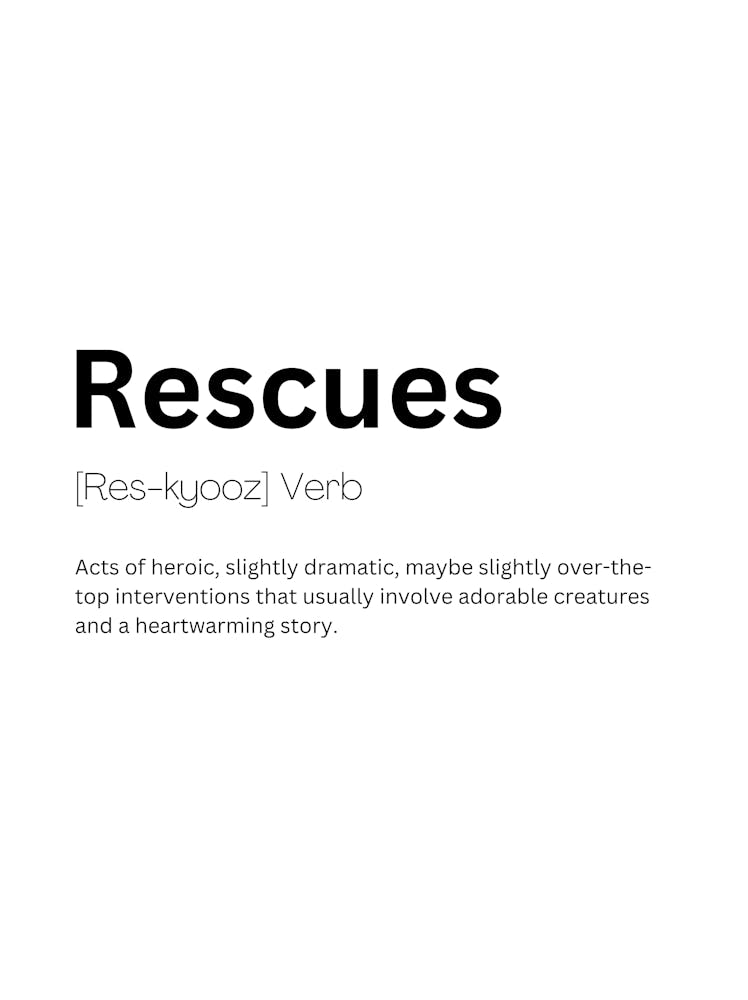 Rescues Definition Meaning