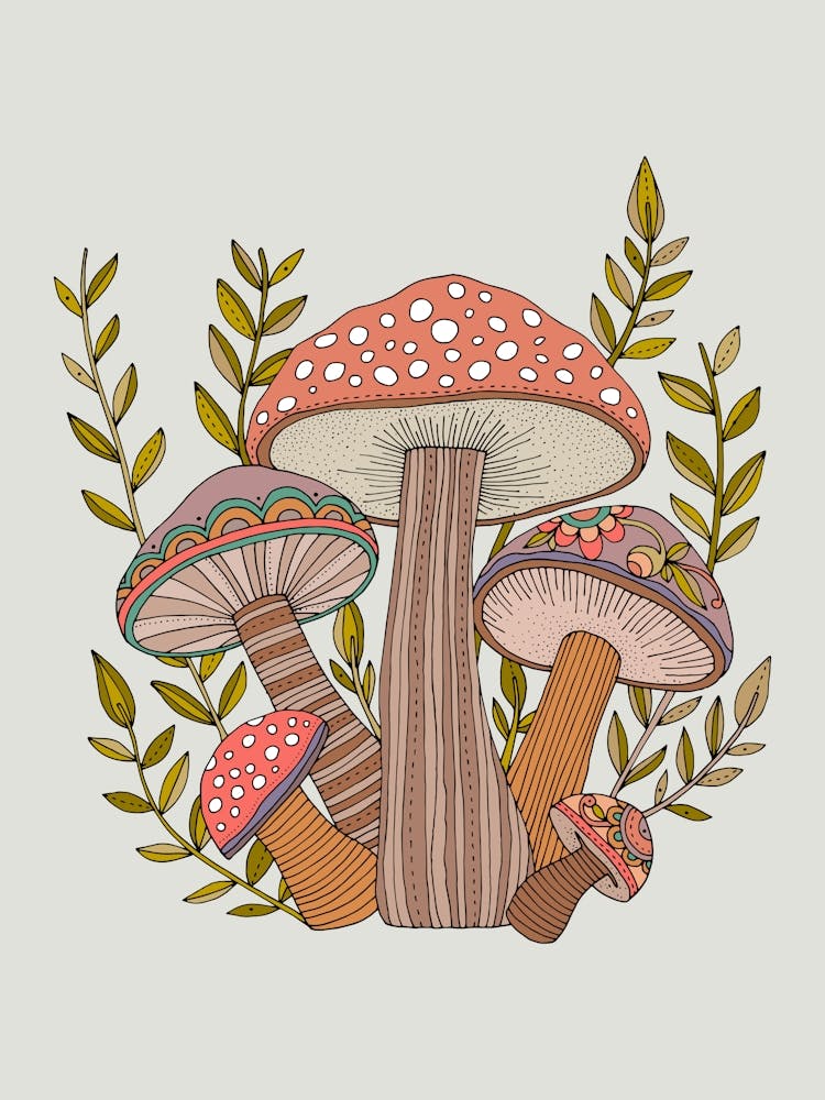 Pilz-Märchenland