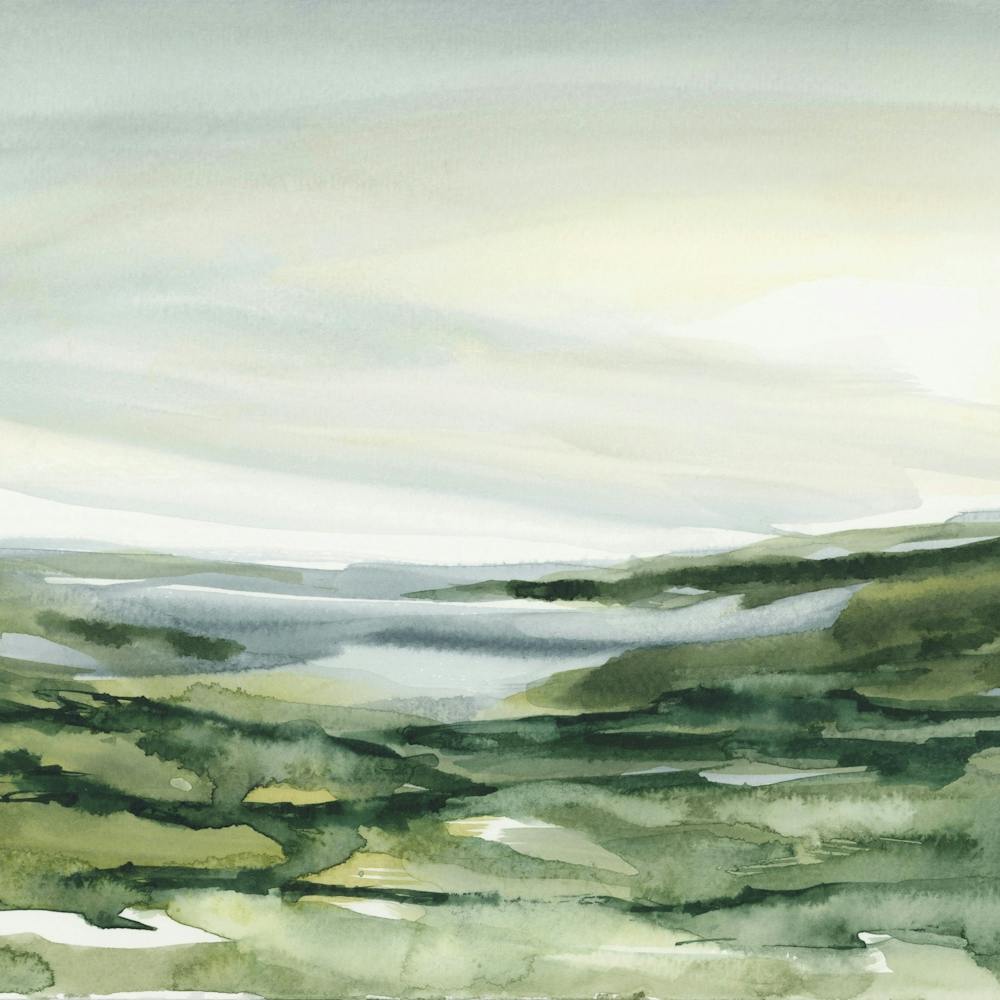 Landscape In Ireland