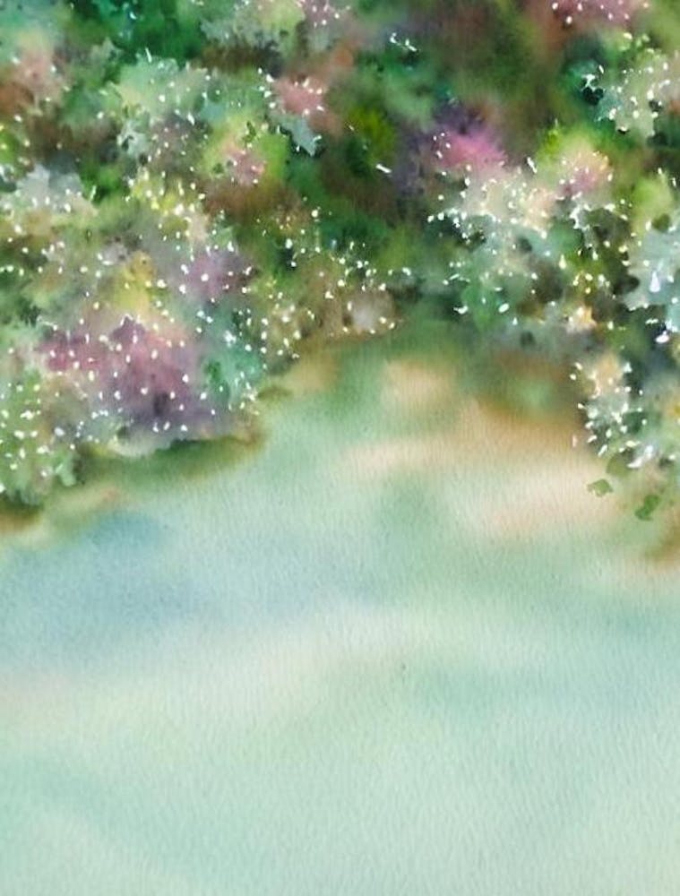 Acropora Lokani Ii Storybook Watercolour