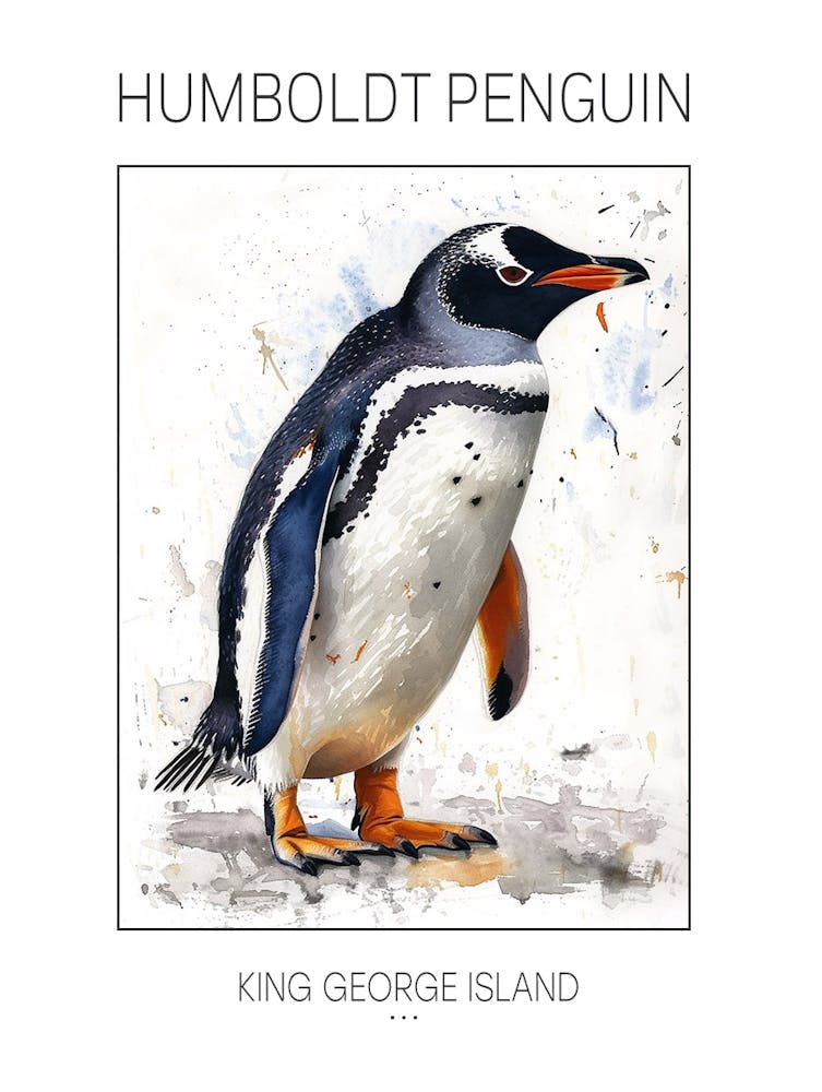 Humboldt Penguin King George Island Watercolour Painting 1 Poster