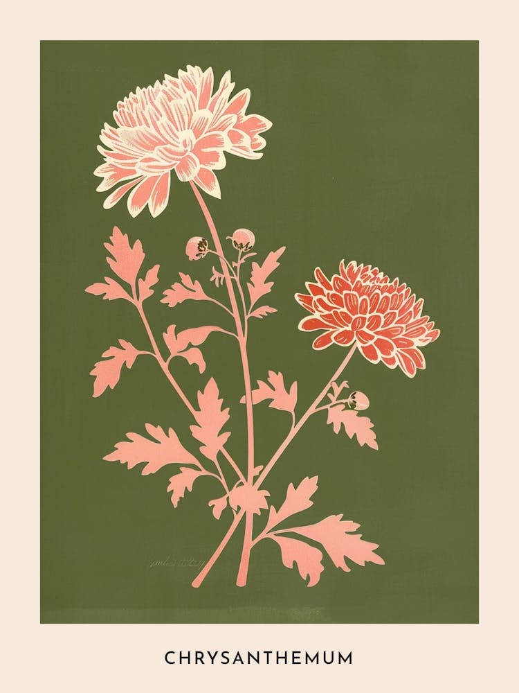 Pink & Green Chrysanthemum 2 Flower Poster