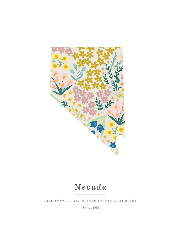 Nevada | Wildflower Mix