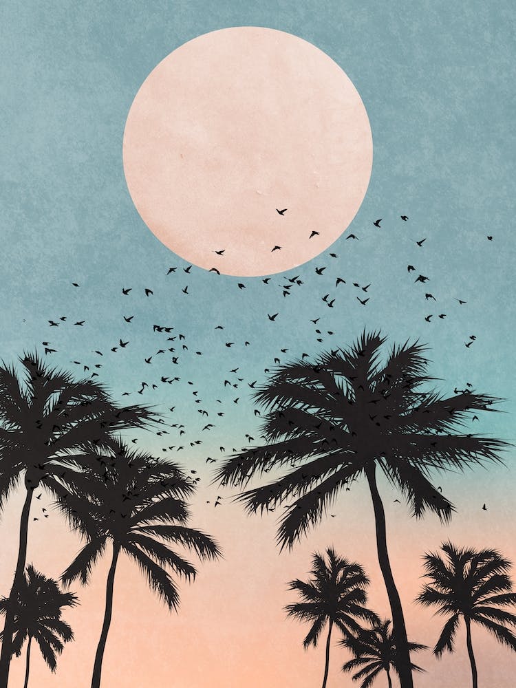 Lever de Soleil