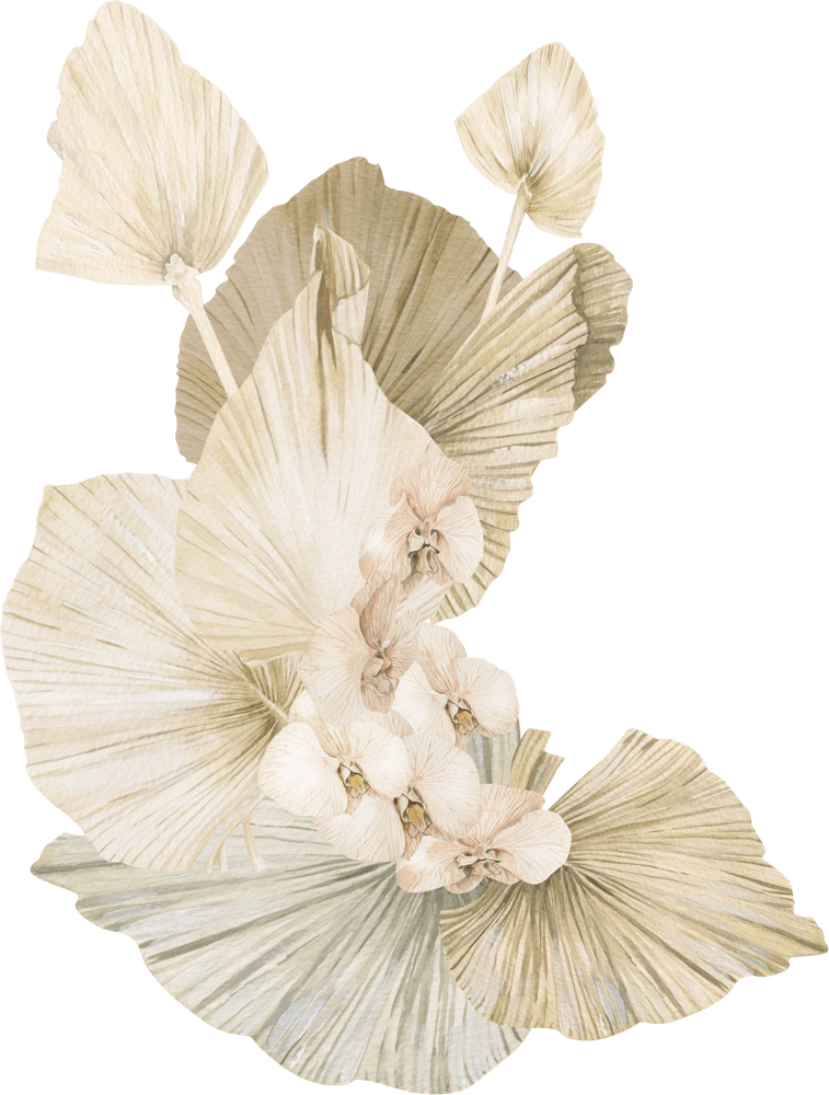 White Ginkgo Leaves