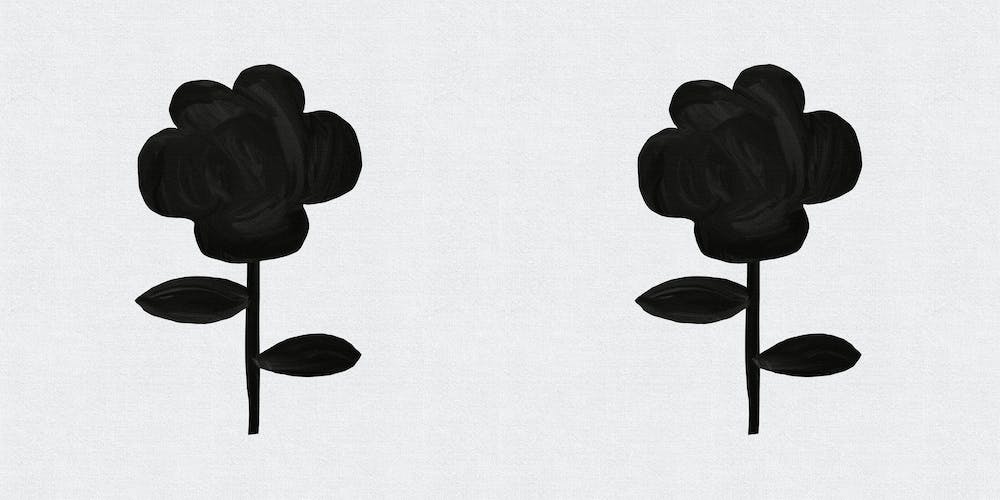 Botanical Vi