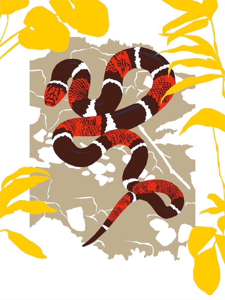 Serpent Corail