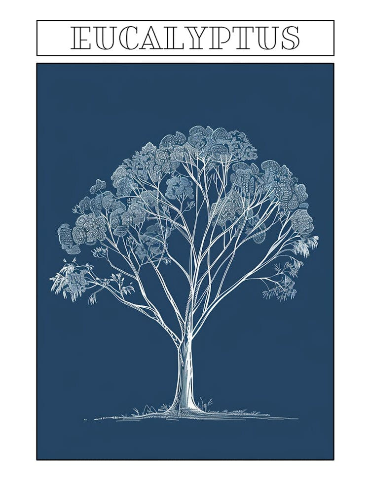 Eucalyptus Tree Minimalistic Drawing 4 Poster