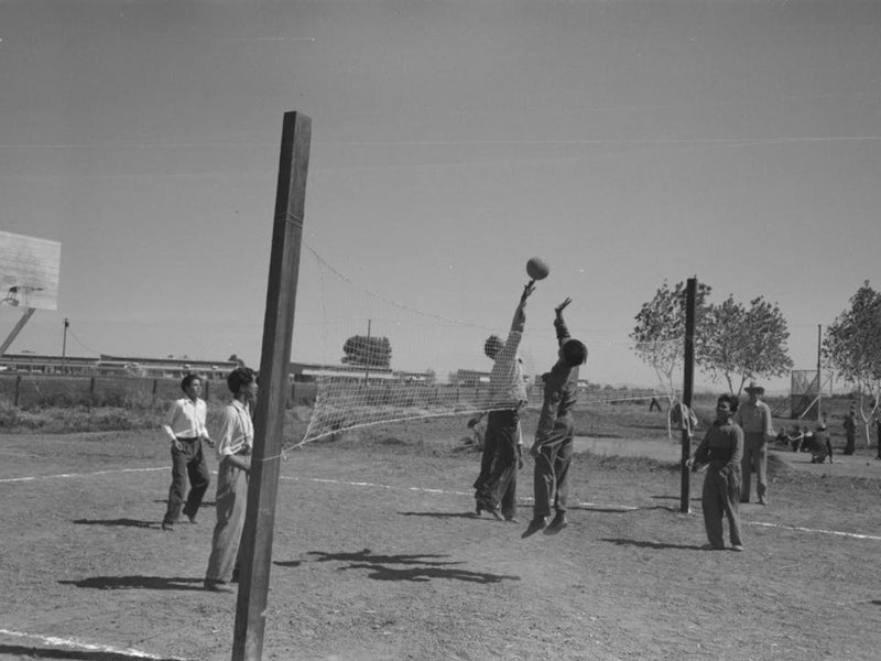 Untitled Photo, Possibly Related To Volleyball Game At The Annual Field Day At The Fsa (Farm Security Administration)