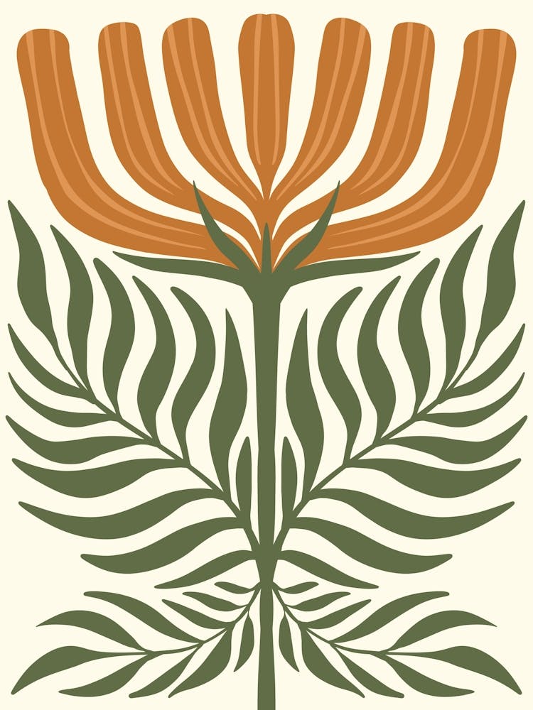 Flora Of South Africa 1