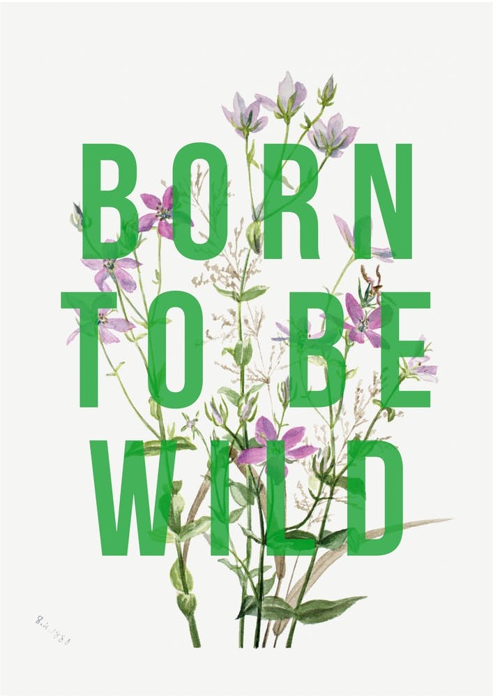 Born To Be Wild