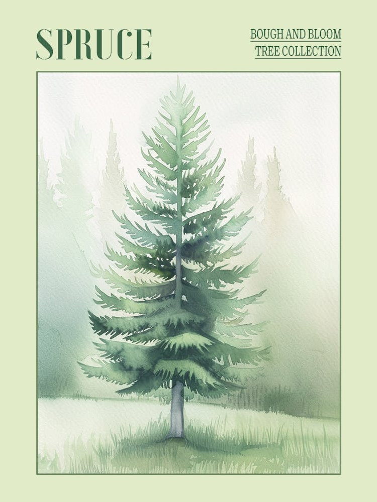 Spruce Tree Atmospheric Watercolour Painting 4 Poster