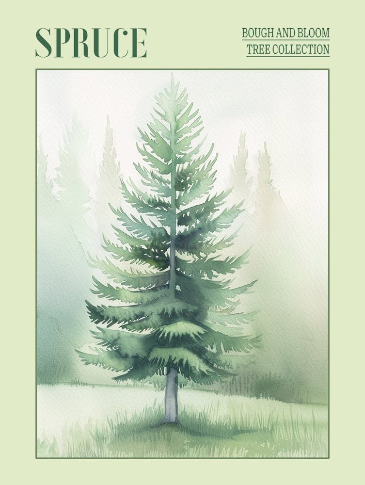 Spruce Tree Atmospheric Watercolour Painting 4 Poster