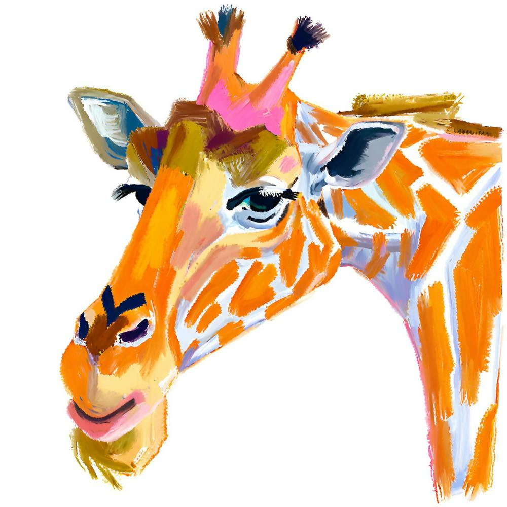 Reticulated Giraffe 02