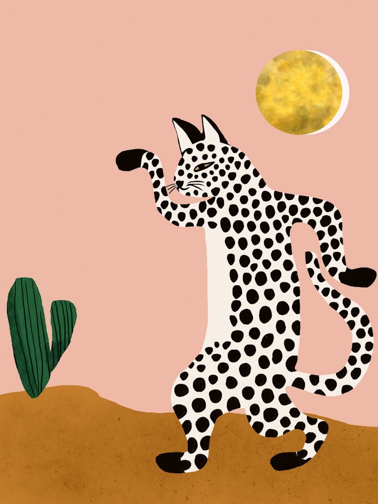 Jazzy Wild Cat