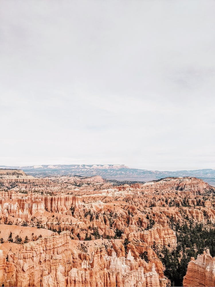 Red Rock Utah Desert