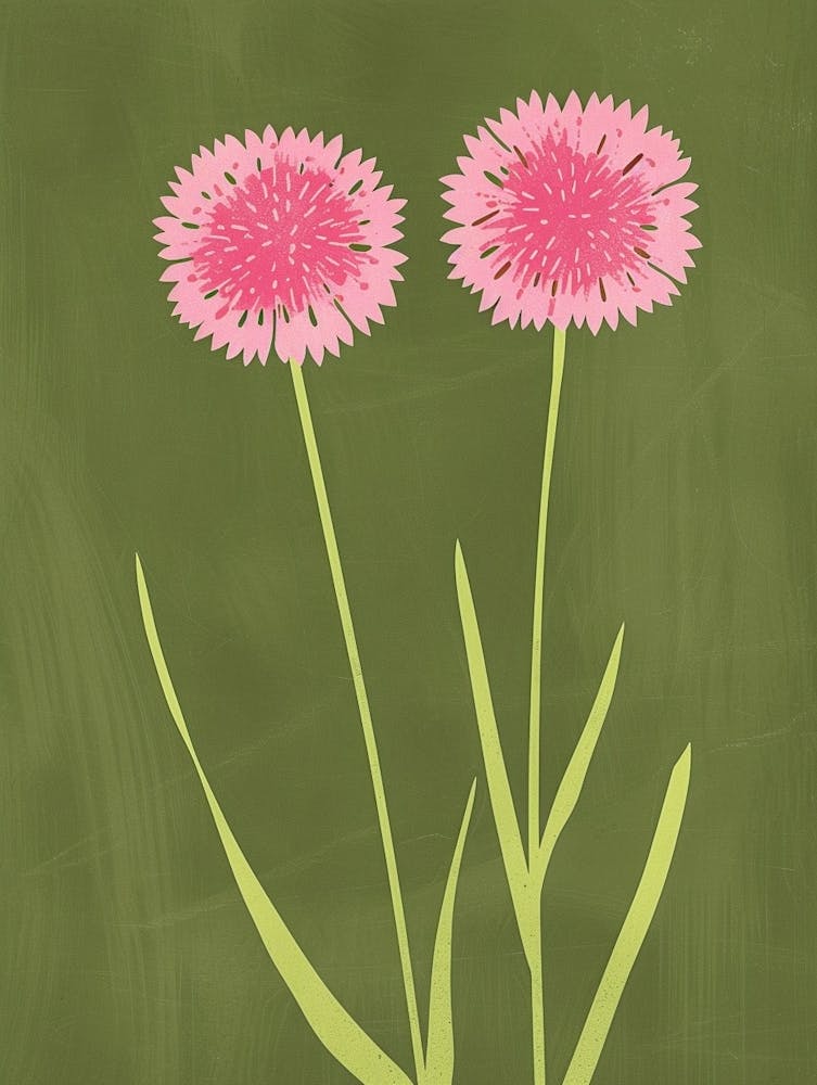 Pink & Green Cornflower 2