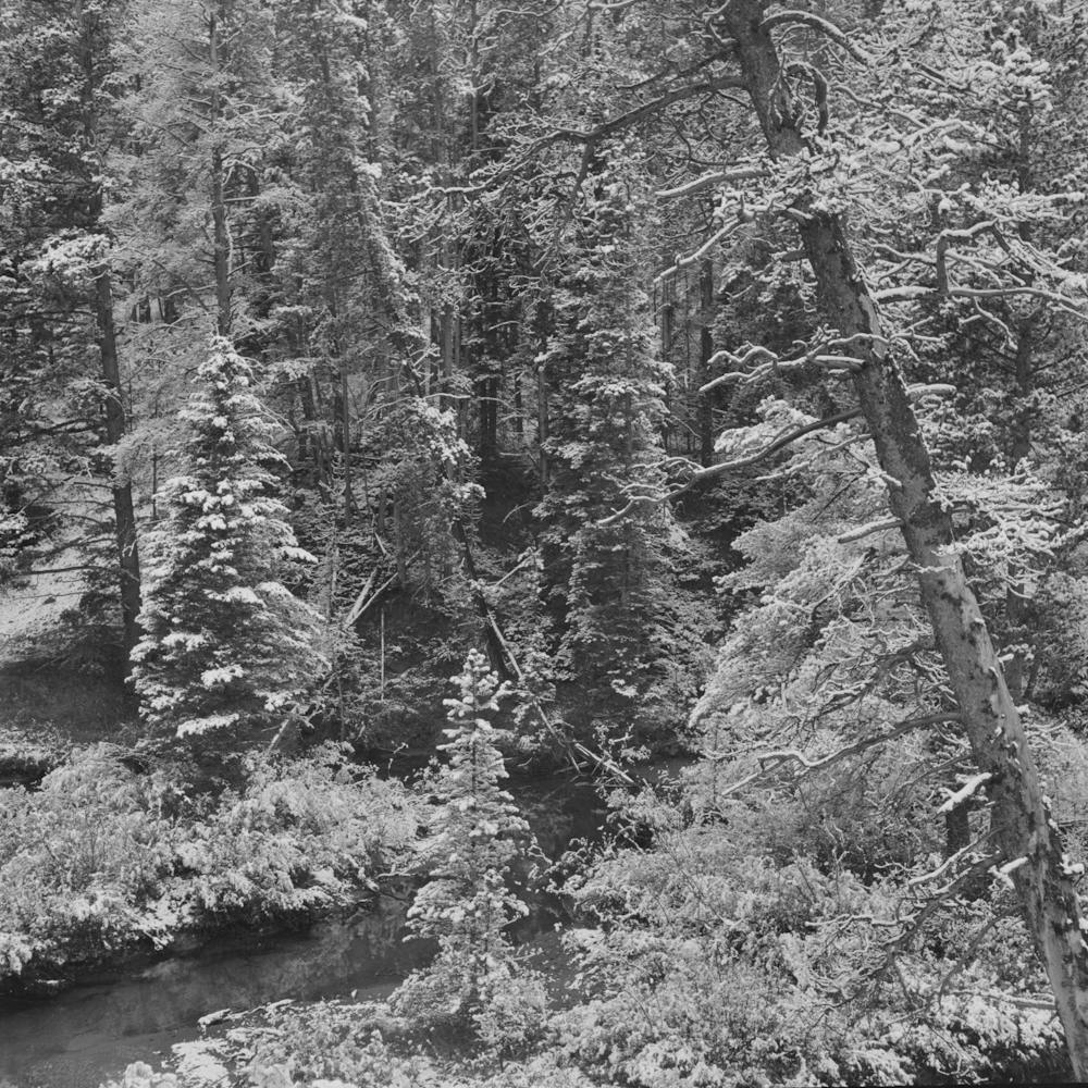 Untitled Photo, Possibly Related To Lewis And Clark National Forest, Meagher County, Montana, First Snow
