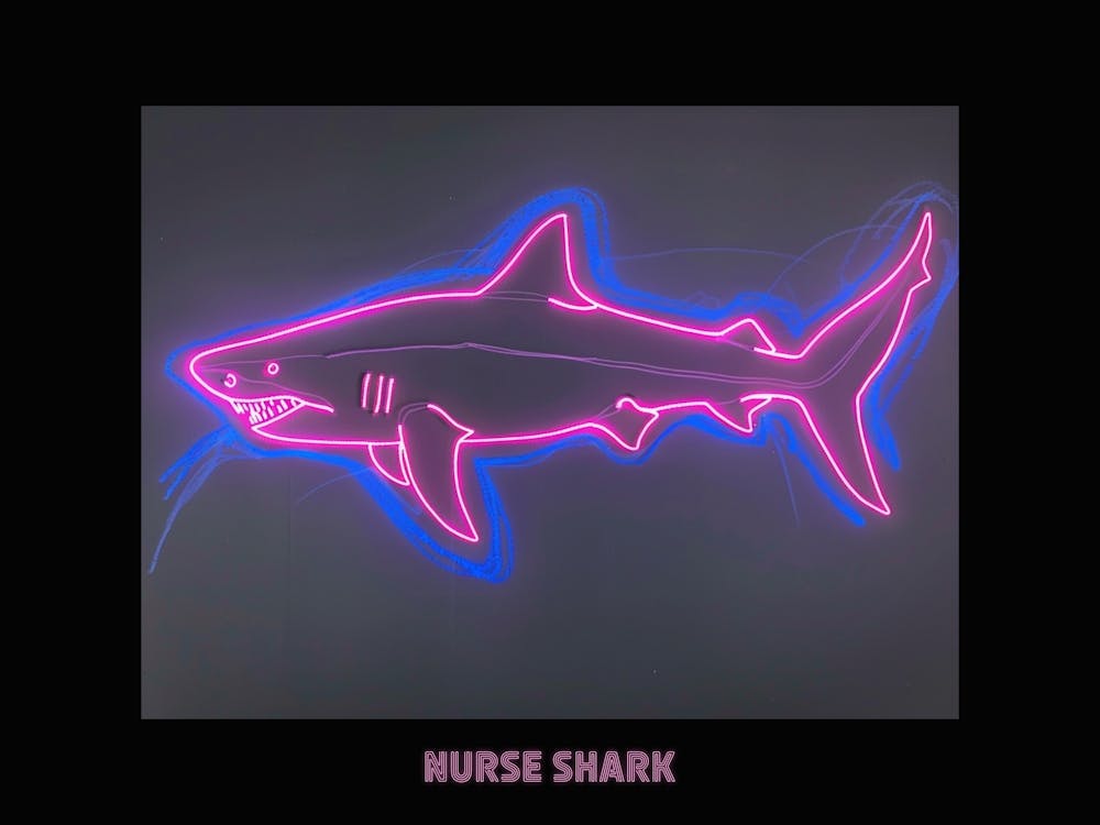 Neon Pink Nurse Shark 6 Poster