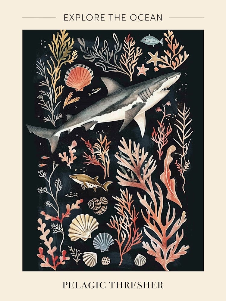 Pelagischer Fuchshai Schwarzes Meereslandschafts-Poster